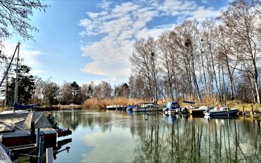 Chalet 3.5 Zimmer - image - 4