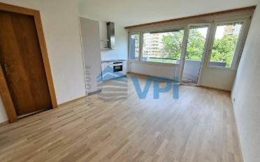 Appartement 1 pièce - image - 2