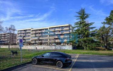 Wohnung 4 Zimmer - image - 6