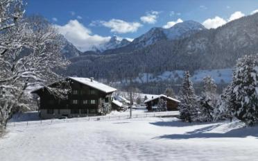 Chalet 4.5 pièces - image - 13
