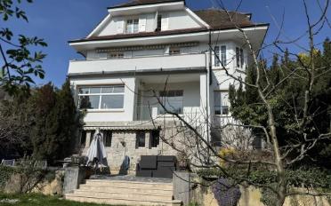 Villa 11 Zimmer - image - 4