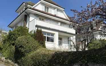 Villa 11 Zimmer - image - 3