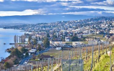 Appartement 4 pièces - image - 1