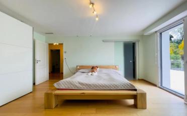 Maison 7.5 pièces - image - 12
