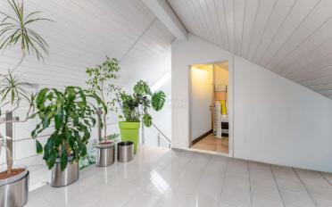 Wohnung 3.5 Zimmer - image - 9