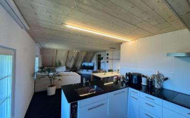 Attikawohnung 5.5 Zimmer - image - 3