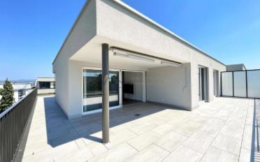 Einfamilienhaus 3.5 Zimmer - image - 7