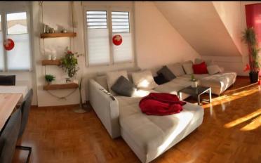 Appartement 4.5 pièces - image - 3