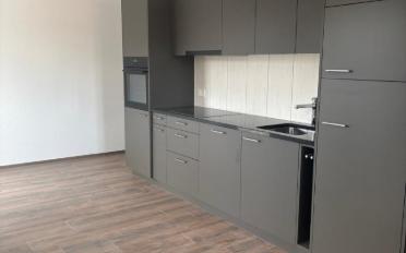 Appartement 3.5 pièces - image - 3
