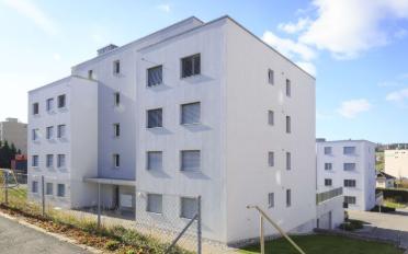 Wohnung 2.5 Zimmer - image - 3