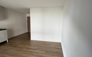 Apartment 2.5 rooms - image - 5