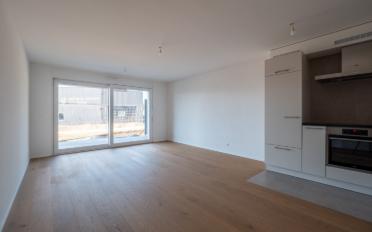 Wohnung 2.5 Zimmer - image - 5