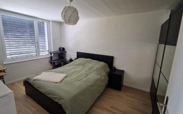 Apartment 2.5 rooms - image - 5