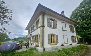 Wohnung 3.5 Zimmer - image - 1