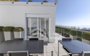 Appartement terrasse 13.5 pièces - image - 8