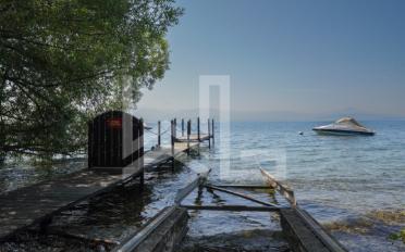 Single house 10 rooms - image - 6