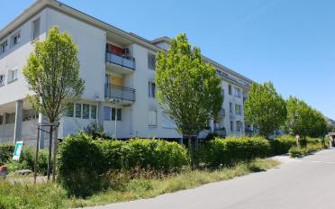 Wohnung 4.5 Zimmer - image - 2