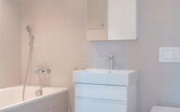 Apartment 2.5 rooms - image - 3