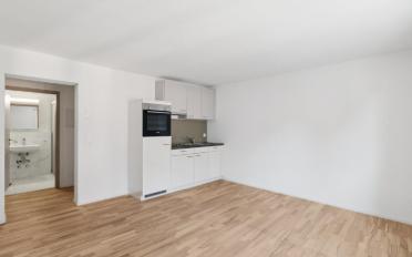 Apartment 1 room - image - 4