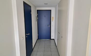 Wohnung ein Zimmer - image - 4