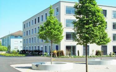 Wohnung 2.5 Zimmer - image - 1