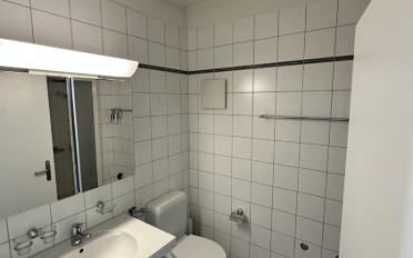 Loft 1 pièce - image - 7