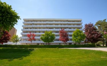 Commercial - image - 1