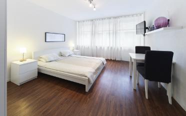 Wohnung 1.5 Zimmer - image - 1