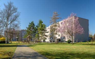 Wohnung 4 Zimmer - image - 1