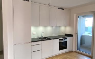 Wohnung 2.5 Zimmer - image - 3