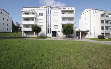 Wohnung 2.5 Zimmer - image - 1