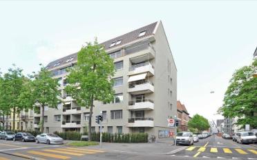 Wohnung 2.5 Zimmer - image - 1