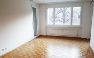 Wohnung 2.5 Zimmer - image - 5