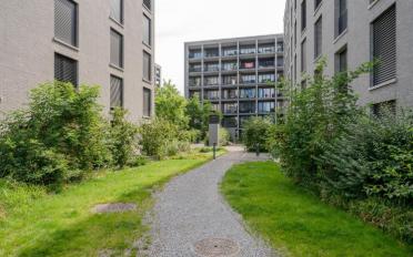 Wohnung 3.5 Zimmer - image - 1