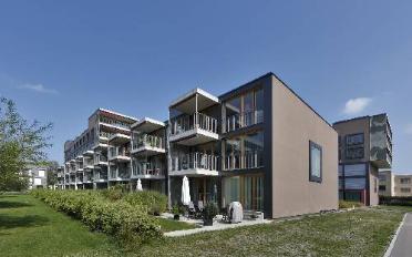 Wohnung 2.5 Zimmer - image - 1