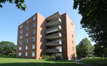 Einzelgarage - image - 1