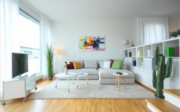 Einfamilienhaus 4.5 Zimmer - image - 4