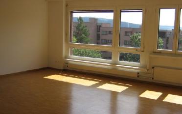 Apartment 4.5 rooms - image - 3