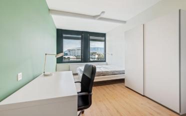 Apartment 1 room - image - 6