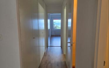 Wohnung 4.5 Zimmer - image - 9