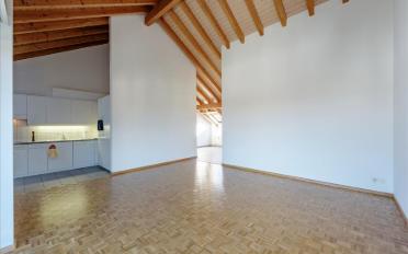 Roof flat 2.5 rooms - image - 3