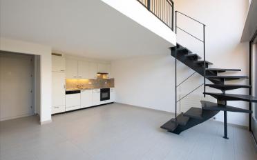 Duplex 2.5 pièces - image - 4
