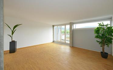 Duplex 4.5 pièces - image - 2