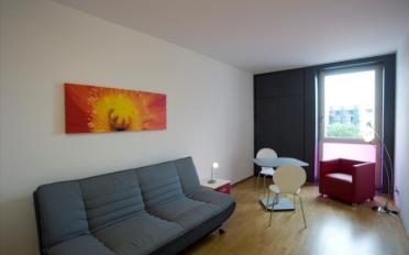 Appartement meublé 1.5 pièces - image - 3