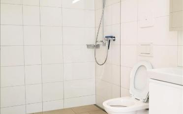 Attic flat 4.5 rooms - image - 6