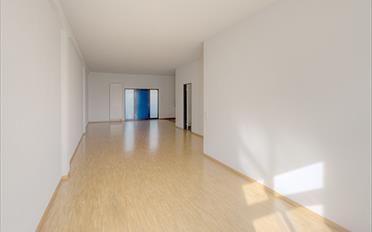 Wohnung 2.5 Zimmer - image - 2
