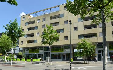 Wohnung 3.5 Zimmer - image - 1