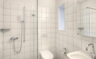 Attic flat 4.5 rooms - image - 6