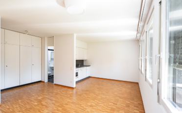 Apartment 1 room - image - 3