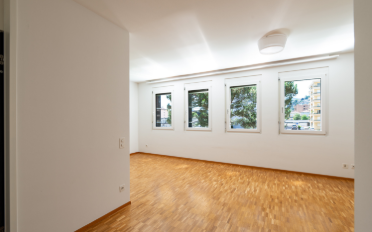 Apartment 1 room - image - 4